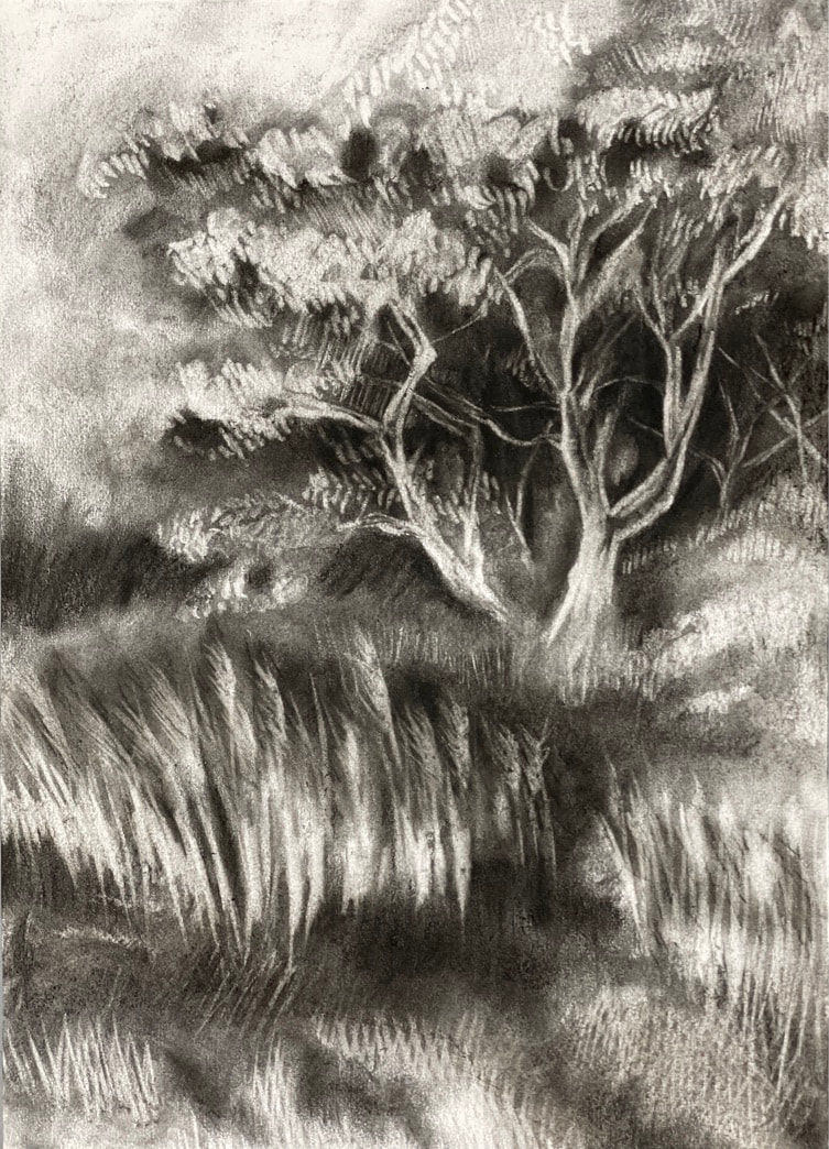 How to draw a landscape in charcoal  Artists  Illustrators